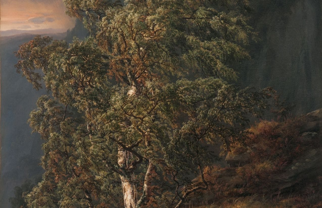 A painting by J.C. Dahl, depicting a birch tree, blowing in the wind.